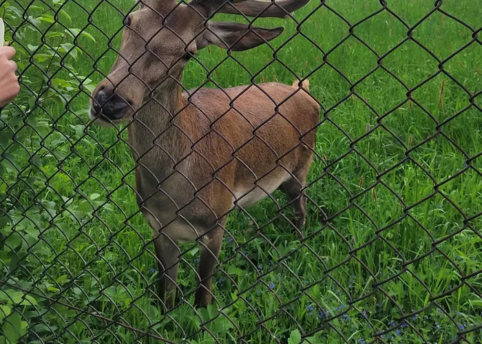 Wynajem Pokoi Krystyna Mroz 자코파네